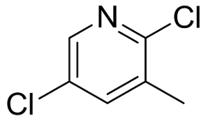 2,5-DICHLORO-3-METHYLPYRIDINE