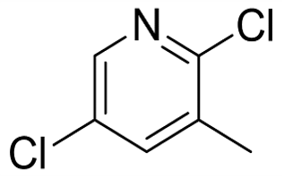 2,5-DICHLORO-3-PICOLINE