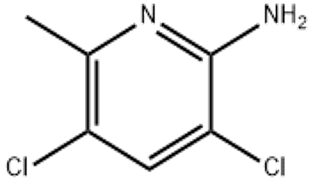 2-AMINO-3,5-DICHLORO-6-METHYLPYRIDINE