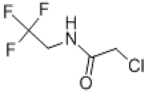 2-Chloro-N-(2,2,2-trifluoroethyl)acetamide