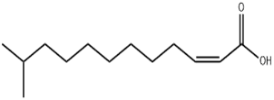 (2Z)-11-Methyl-2-dodecenoic acid