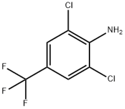 4-Amino-3,5-dichlorobenzotrifluoride