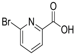 6-Bromopicolinic acid