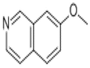 7-Methoxyisoquinoline（CAS# 39989-39-4)