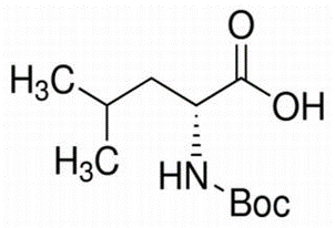 BOC-D-Leucine monohydrate