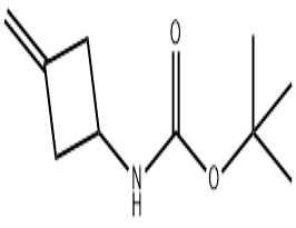 Carbamic acid, (3-methylenecyclobutyl)-, 1,1-dimethylethyl ester (9CI)(CAS# 130369-04-9)