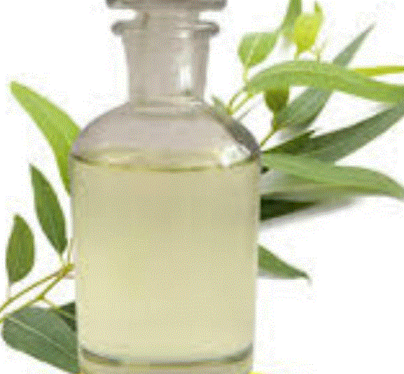 Eucalyptus oil(CAS#8000-48-4)