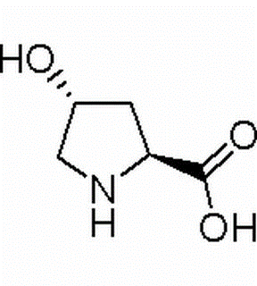 L-Hydroxyproline