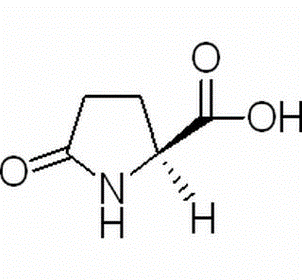 L-Pyroglutamic acid