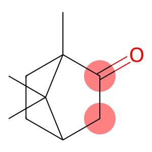 bornan-2-one CAS 76-22-2