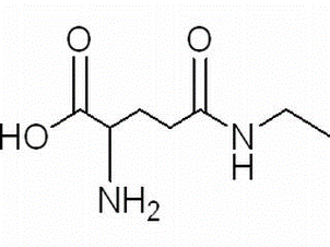 gamma-glutamylmethylamide